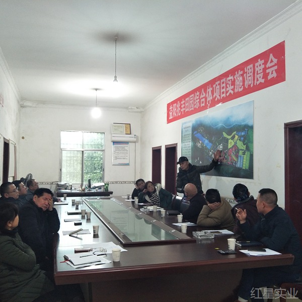 协调联动,稳步推进兆丰田园综合体